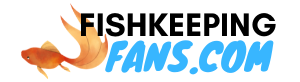 Felix logo